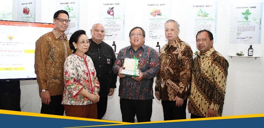 Herbal Juice, Jamu Masa Kini