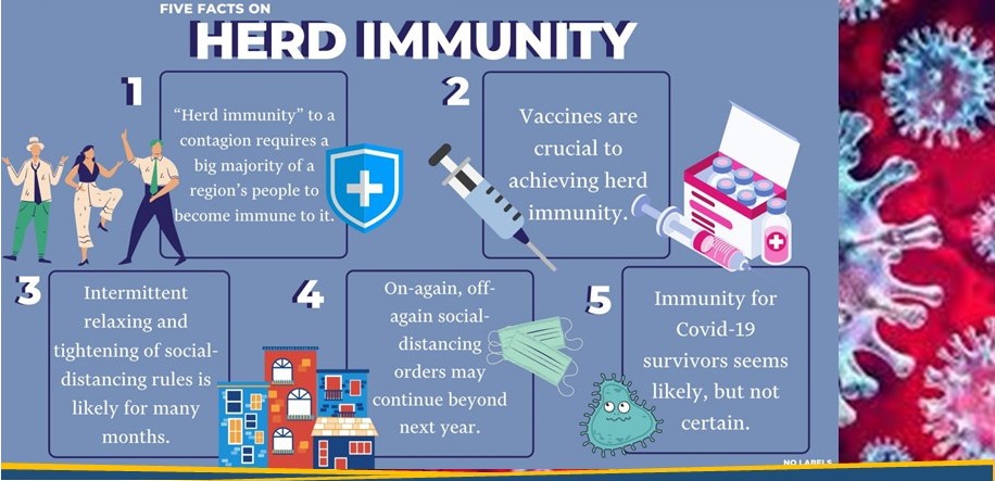 Dari Lockdown ke Herd Immunity: Model Indonesia