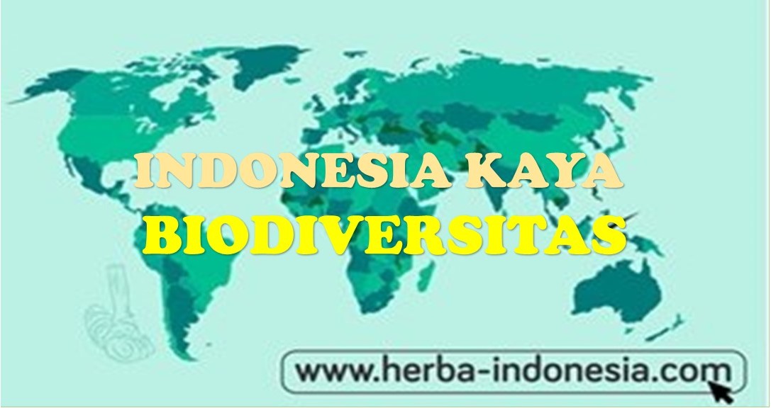 Indonesia Mega Biodiversitas Dunia