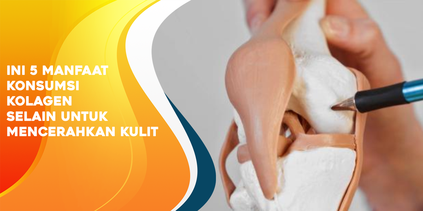 Ini 5 Manfaat Konsumsi Kolagen Selain Untuk Mencerahkan Kulit Ini 5 Manfaat Konsumsi Kolagen Selain Untuk Mencerahkan Kulit