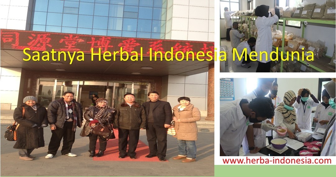 Serial Herba Indonesia-1: Booming di Zaman Now