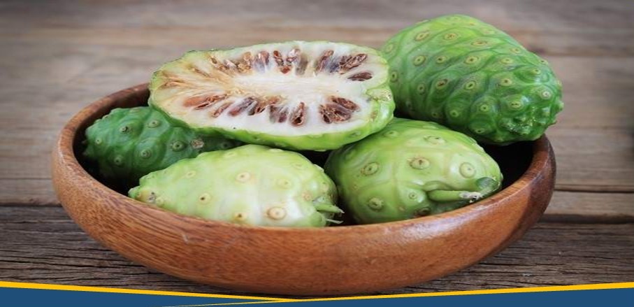 Atasi Sembelit dengan Mengkudu