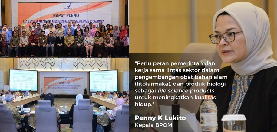 BPOM Kembangkan Hilirisasi Hasil Penelitian Fitofarmaka dan Produk Biologi