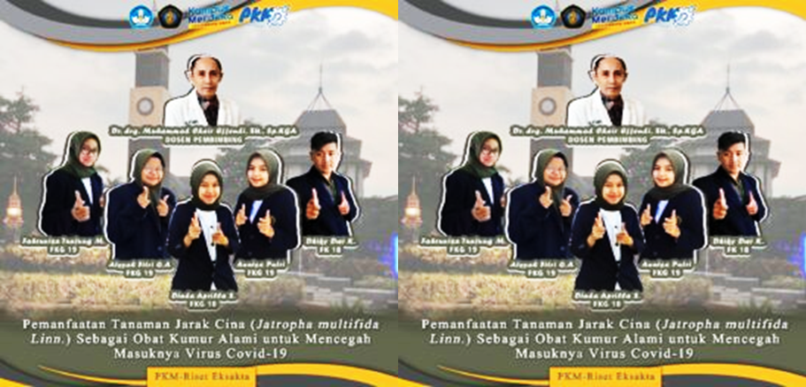Mahasiswa UB Teliti Kandungan Tanaman Jarak Cina untuk Terapi Alternatif COVID-19