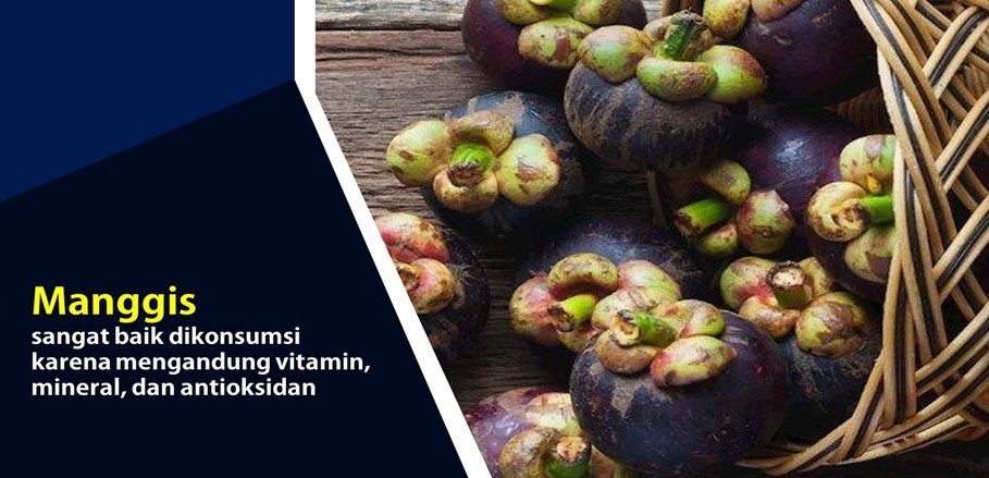 Beraneka Ragam Manfaat Manggis Beraneka Ragam Manfaat Manggis