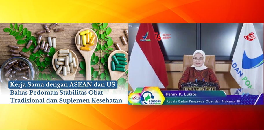 Badan POM Bersama ASEAN Secretariat dan US-IGNITE, Bahas Pedoman Stabilitas Obat Tradisional