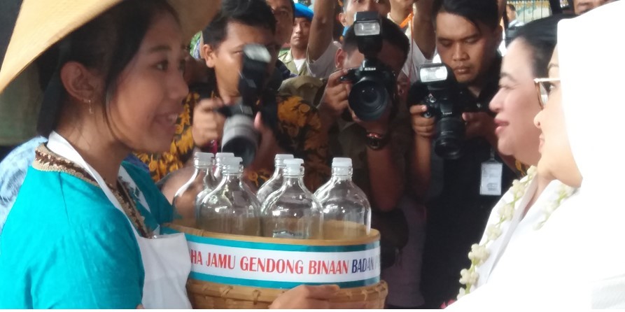 BPOM Apresiasi Pengembangan Aplikasi Jamu Online BPOM Apresiasi Pengembangan Aplikasi Jamu Online