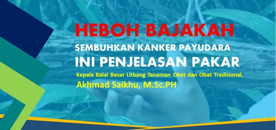 Penjelasan Kemenkes Tentang Tanaman Bajakah