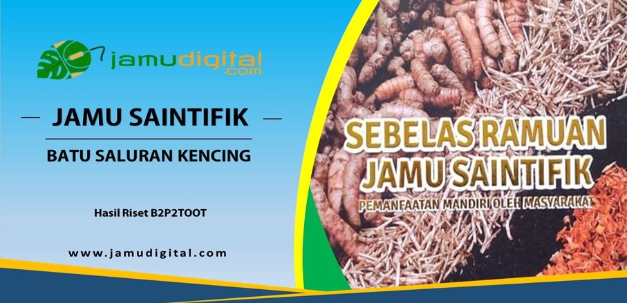 Ramuan Jamu Saintifik Untuk Batu Saluran Kencing
