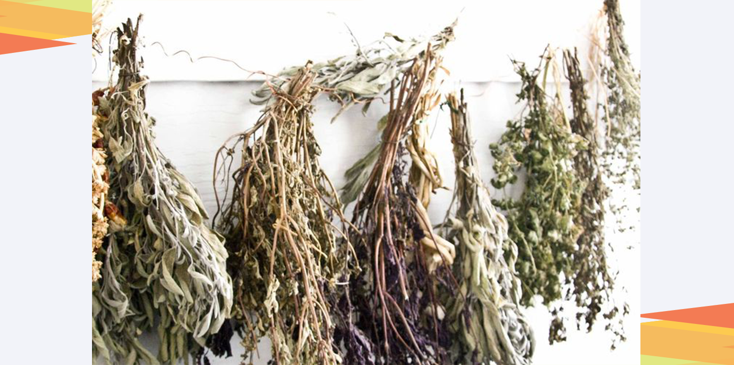 Kenali Yuk Tentang Homeopati. Pengobatan apa sih ini.. Kenali Yuk Tentang Homeopati. Pengobatan apa sih ini..