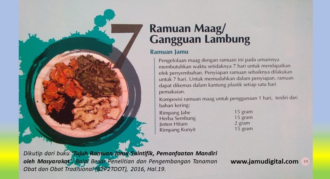 Ramuan Jamu Saintifik Maag