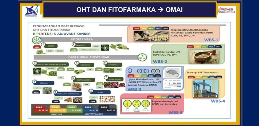 RoadMao OMAI RoadMap OMAI